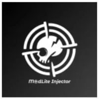 Modlite Injector APK v4